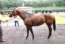 ���긶�̼� (LOVE MY SONG) ����