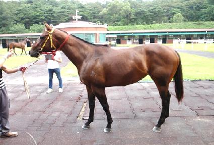 ���긶�̼� ����