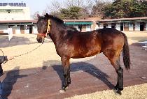 �����ǳ뷡 (GAMDONGUI NORAE) ����