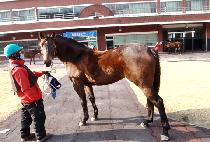 ������ũ (ROSE PARK) ����