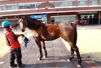 ������ũ ����