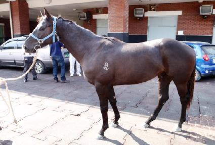 ��Ű���� ����