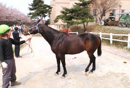 �־����� ����