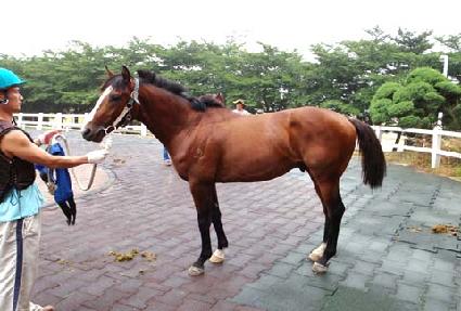 ����è�� ����