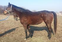 ���Ǽ۾� (HAPPY SONGAM) ����