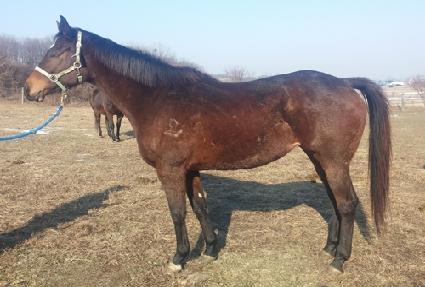 ���Ǽ۾� ����