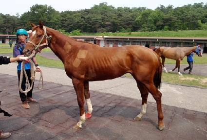 ��ټ���Ű ����