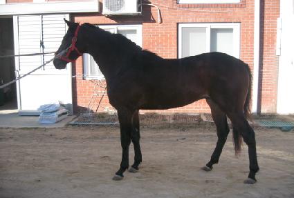 ���� ����