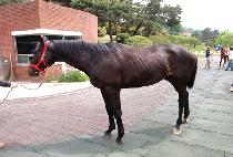 ����Ư�� (YEONSEUNG TEUKGEUP) ����