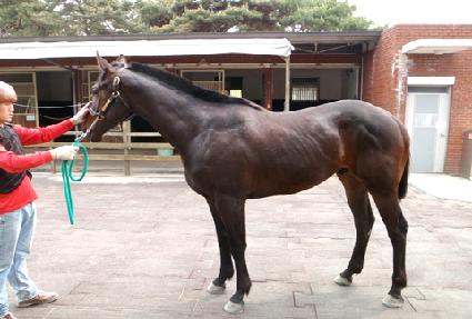 õ�� ����