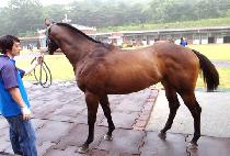 ���ι�� (RAIN BABBLE) ����