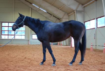 �ۼ���ķ�� ����