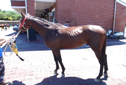 ���񰡵� ����