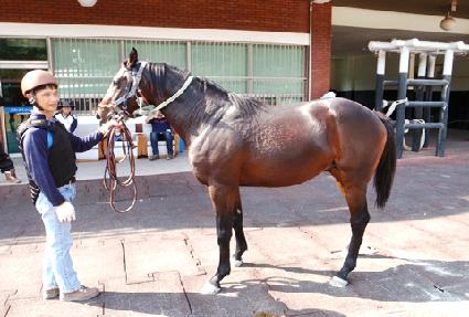 �ְ���� ����