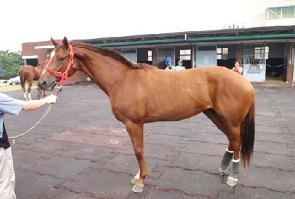 ��Ż�� ����