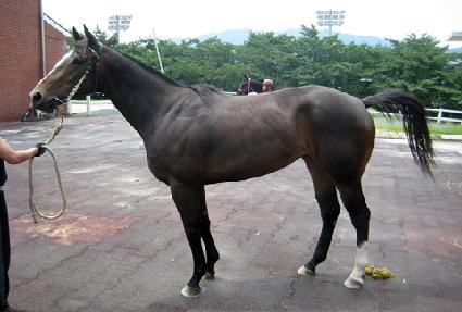 ¦�� ����