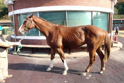 �ν��� ����