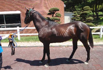 ���������� ����