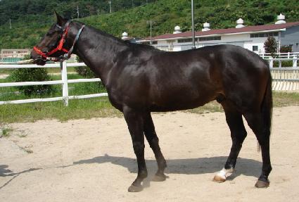 �̽��ͺ�Ʈ ����