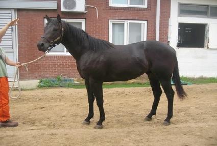 �ֵ����� ����