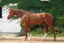 ������Ǫ���� (EUMSOGUI TRUGA) ����