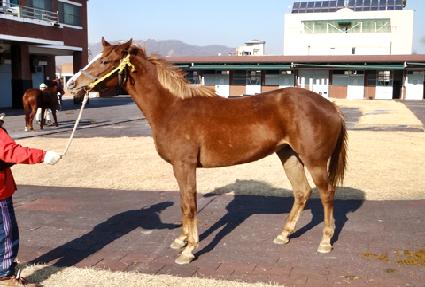 �强ȣ ����