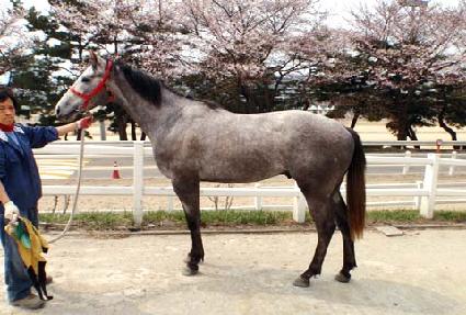 �븶�� ����