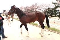 ��ûõ (DAECHEONGCHEON) ����