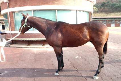 Ÿ������Ƽ ����