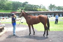 AMAZING PARTY picture