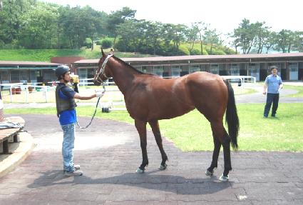 �����¡��Ƽ ����