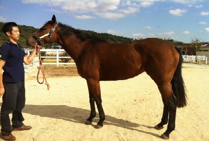 �����м� ����