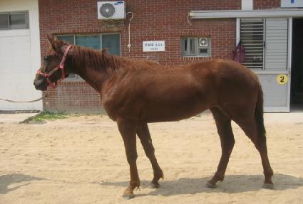 ����¡���� ����