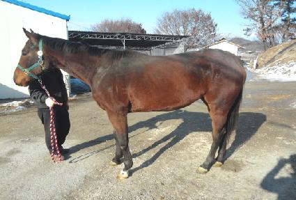 ��Ʈ�� ����