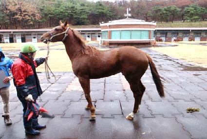 �ֵ��� ����