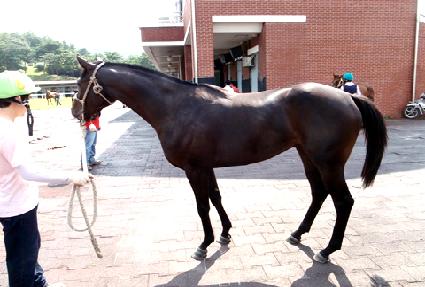 �������� ����