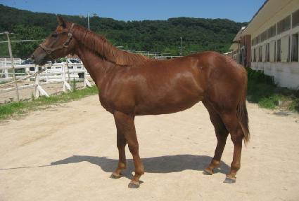 �ض㳯 ����