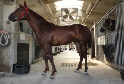 ����Ʈ�� ����