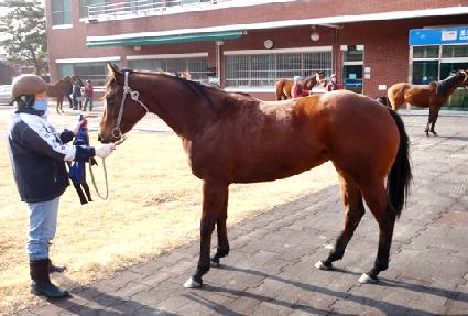 �׸��ö��� ����