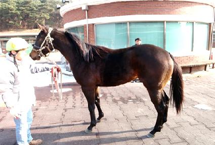 �Ҹ��� ����