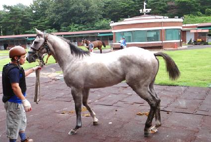 ��û�� ����