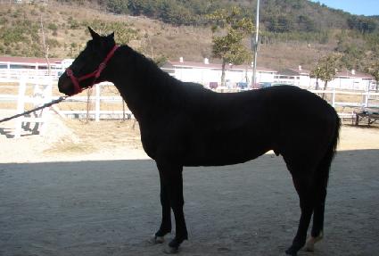 ����ǵ� ����