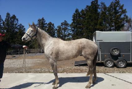 ���̾���̾� ����