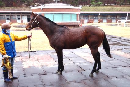 �ö����ε�� ����