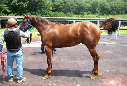 ������ ����