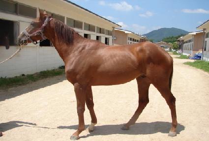 õ��Ư�� ����