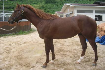 �������� ����