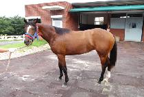 �����ý��� (JUMP SISTER) ����