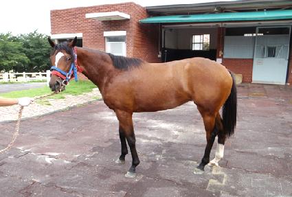 �����ý��� ����