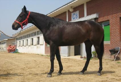 ����� ����